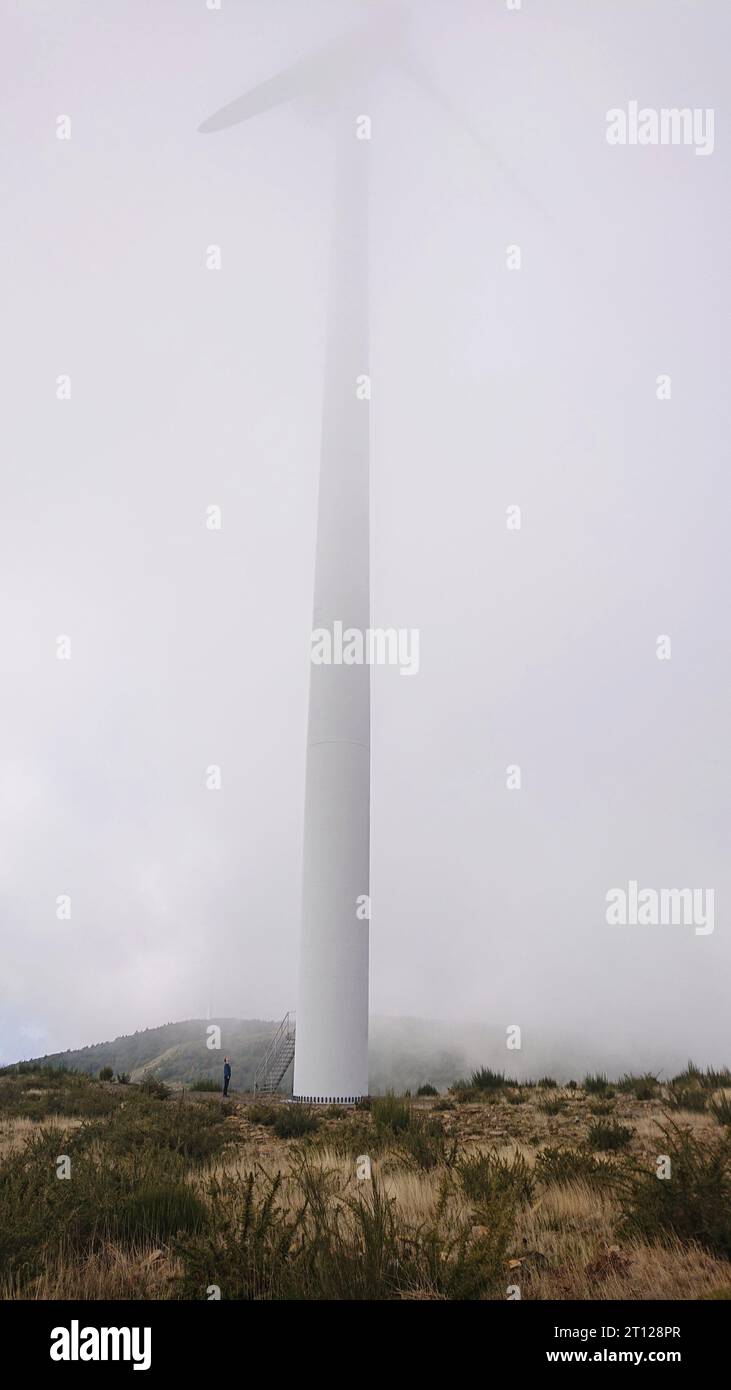 Windrad im Nebel Madeira Berg Foto Stock