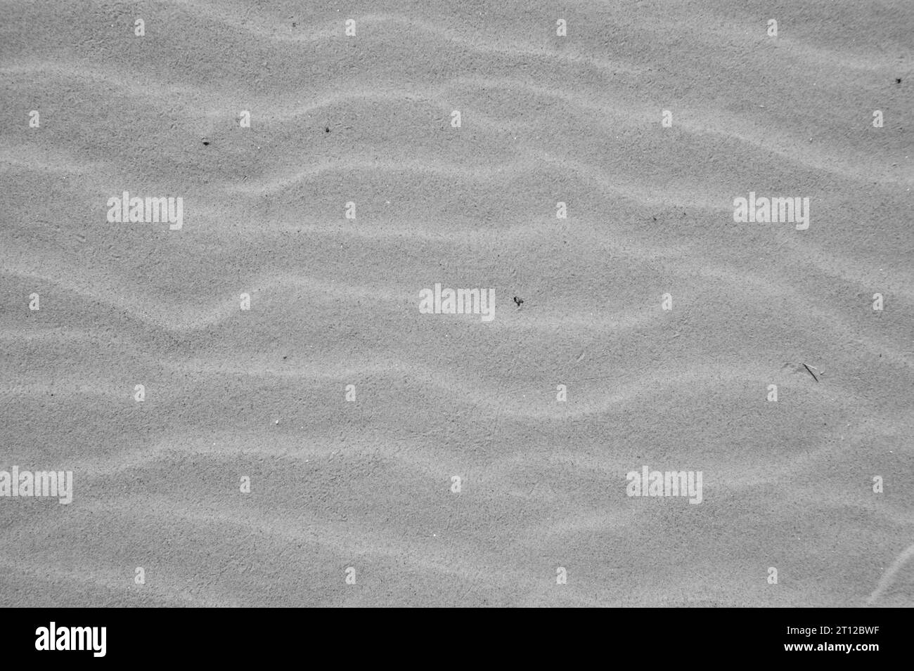 Fondo di sabbia. Texture estiva al sole. Vista dall'alto. Foto Stock
