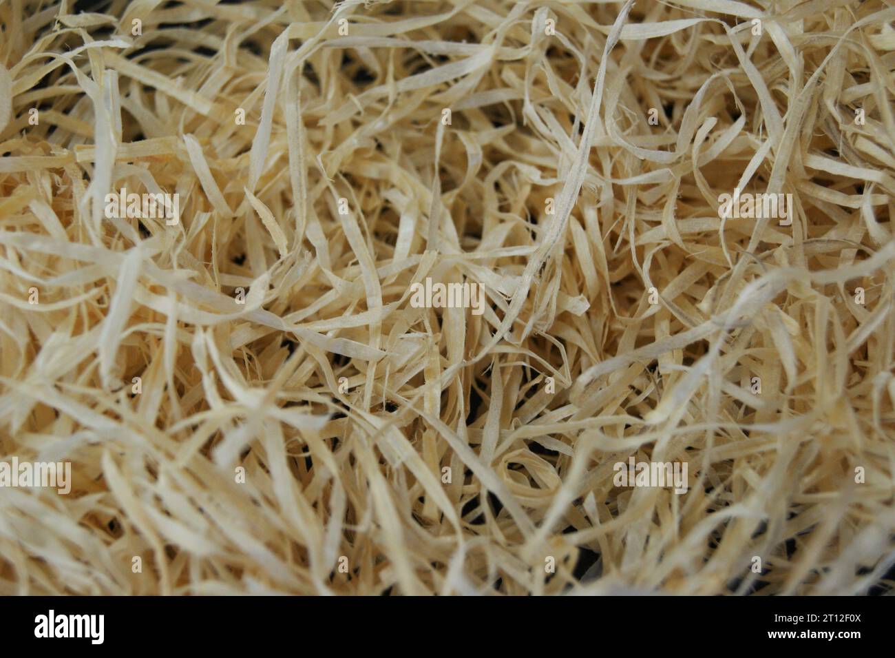 Materiale di imballaggio ecocompatibile. Trucioli di legno per imballaggio. Foto Stock