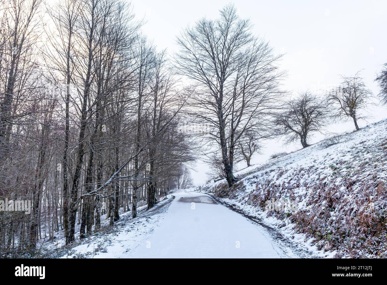 Sentiero fino al Monte Aizkorri a Gipuzkoa. Paesaggio innevato dalle nevicate invernali. Paesi Baschi, Spagna Foto Stock