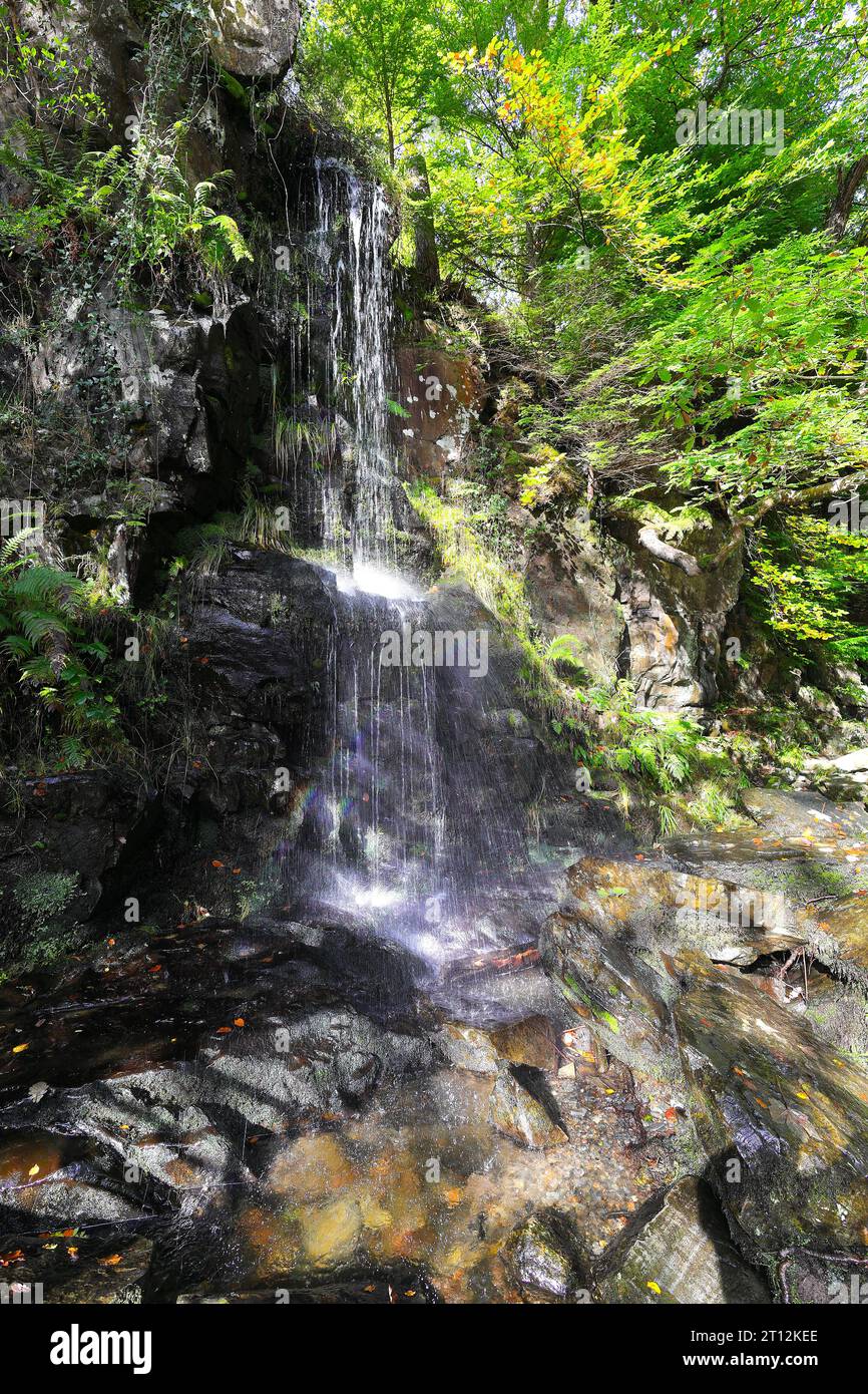 Immagini paesaggistiche lungo il fiume Afon Llugwy vicino a Betws-Y-Coed nel Parco Nazionale di Snowdonia in Galles, Regno Unito Foto Stock