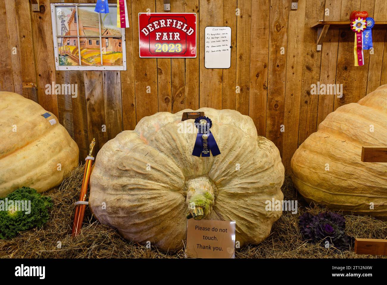 Deerfield Fair, New Hampshire 2023 - enorme vincitrice di zucca da 1k lb+ dopo una gara in un fienile di legno. Foto Stock