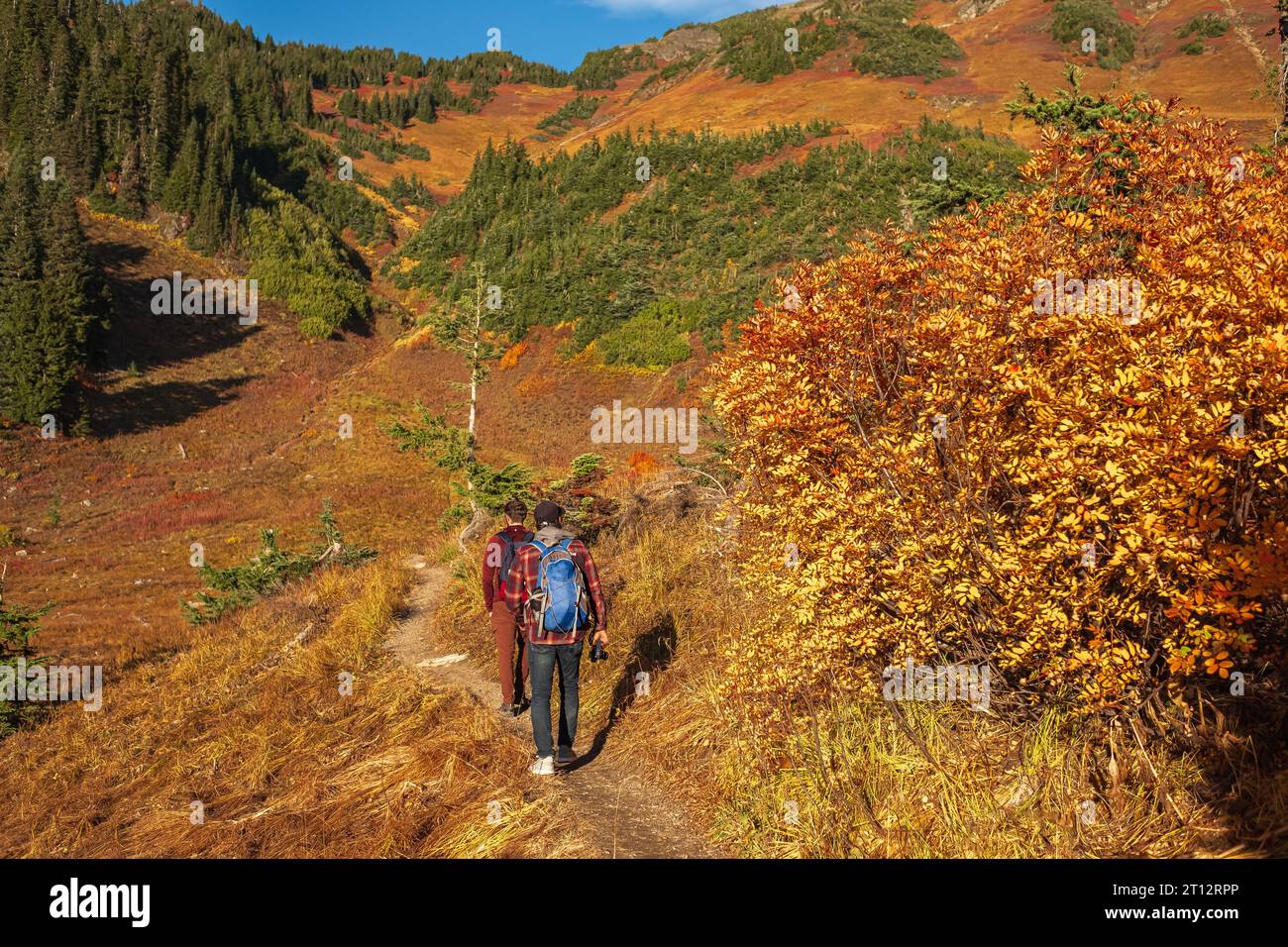 Due escursionisti sul sentiero sul monte Cheam. Escursionisti con zaini che scalano la montagna. Due uomini che camminano lungo il sentiero di montagna in autunno. Trave Foto Stock