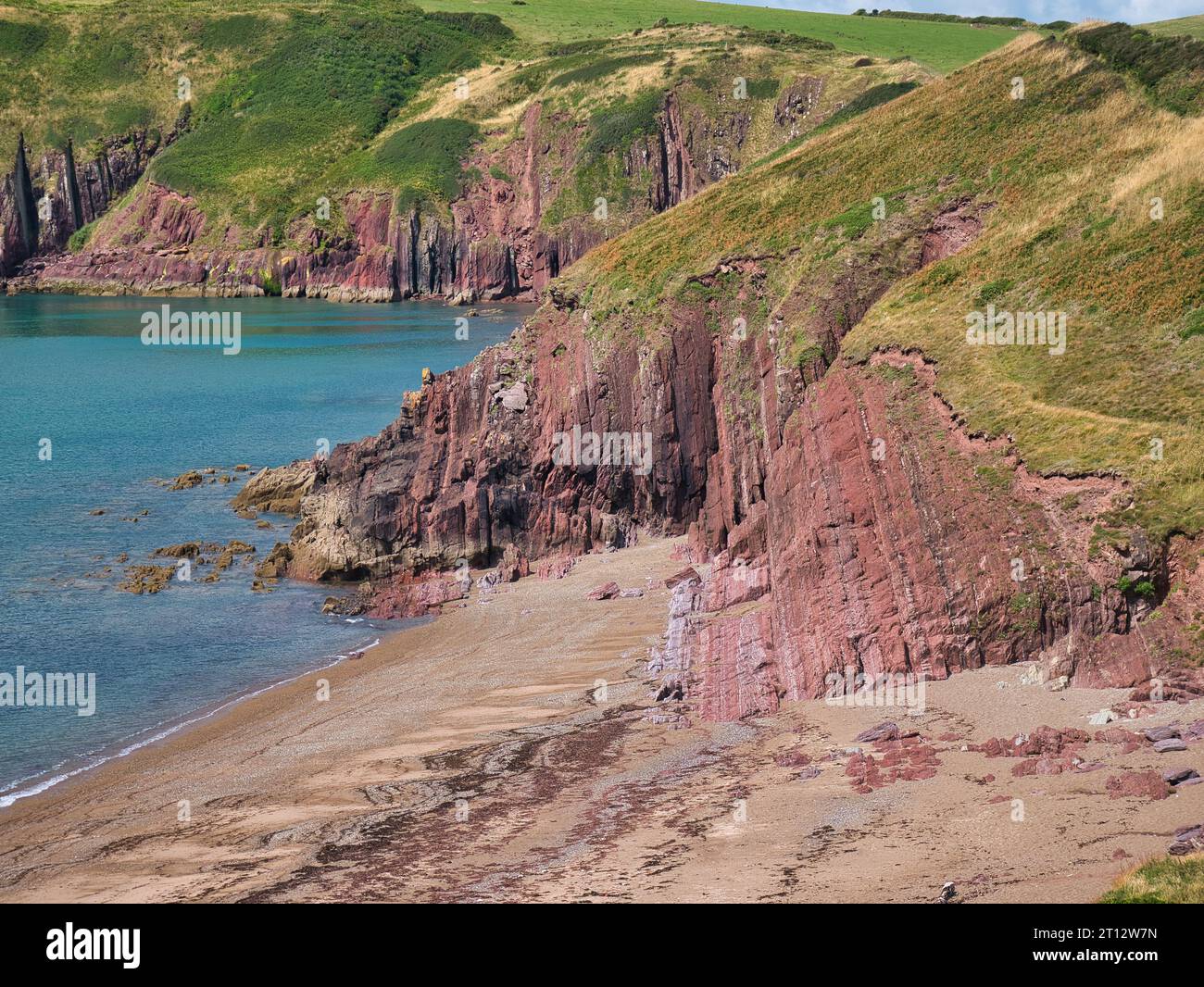 Scogliere rosse costiere vicino a Manorbier nel Pembrokeshire, Galles, Regno Unito - gli strati rocciosi inclinati verticalmente della roccia sono del Milford Haven Group - Arg Foto Stock