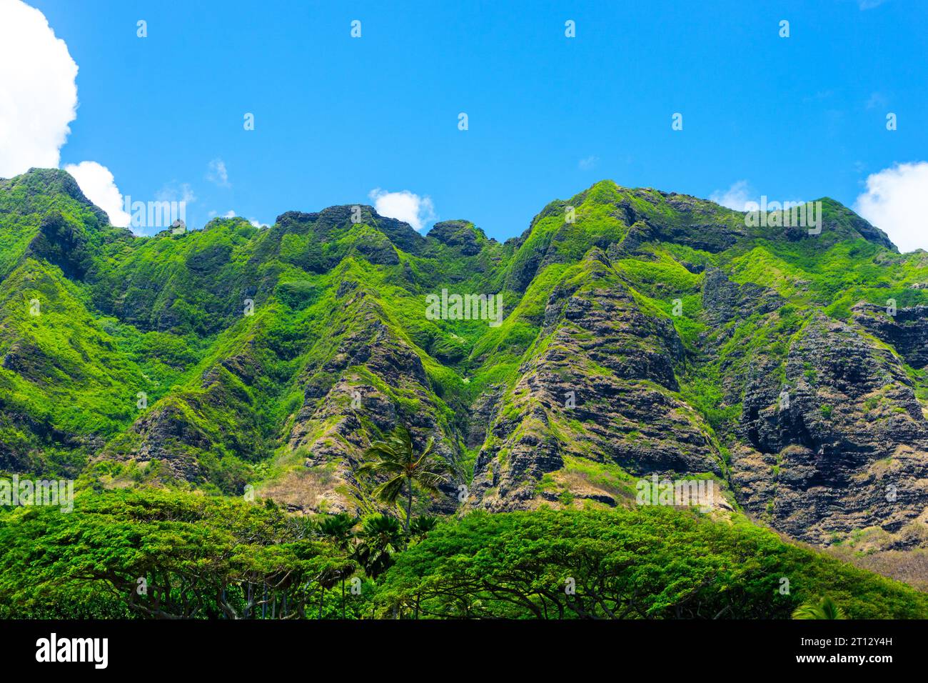 Primo piano del frammentato residuo delle pendici del vulcano Ko'olau nella valle Ka'awa sulla costa ventosa di Oahu alle Hawaii. L'area di Kualoa è un populista Foto Stock