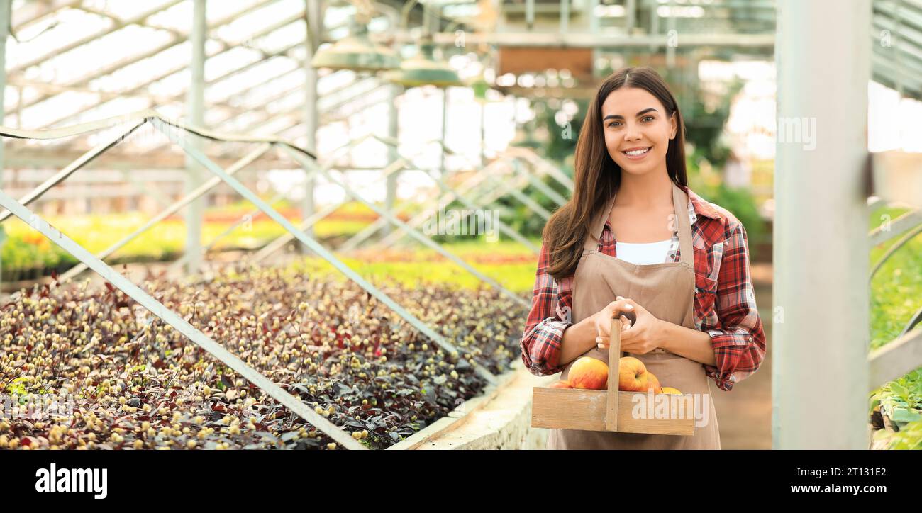 Contadina con raccolto in serra Foto Stock