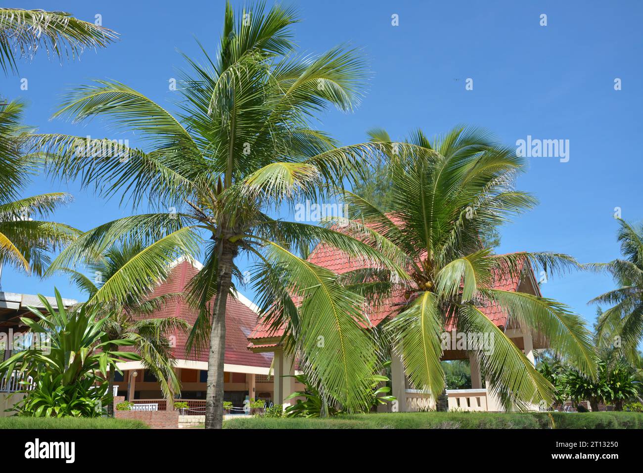 resort tropicale con alberi e villa in una giornata di sole Foto Stock