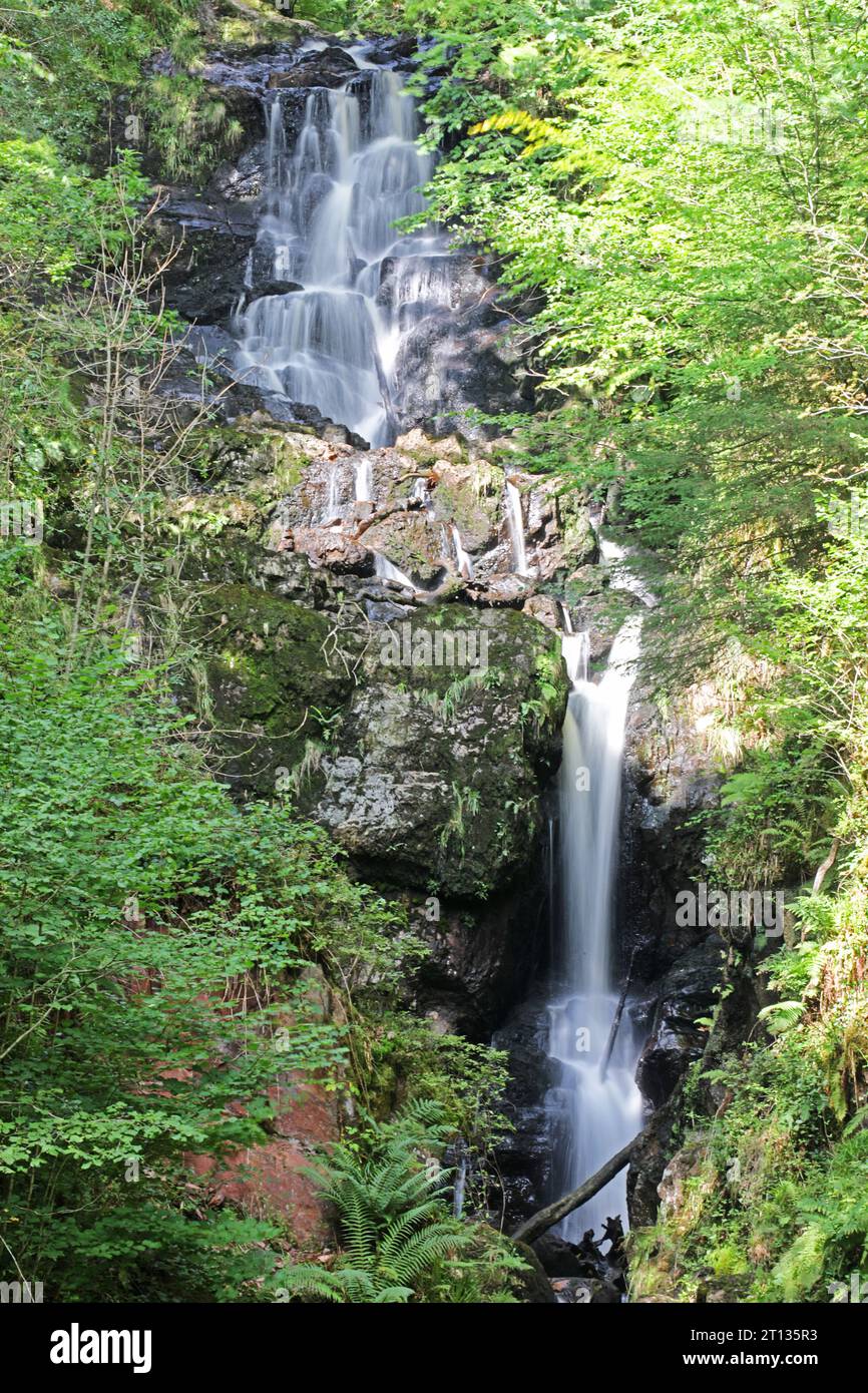 Queen Elizabeth Forest Park, Aberfoyle, Scozia Foto Stock