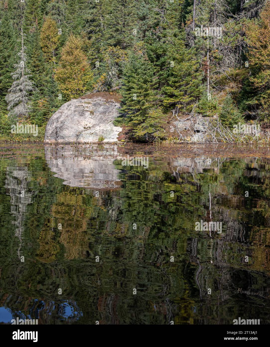 Una grande roccia e alberi sempreverdi si riflettono nell'acqua nell'Algonquin Park Ontario Foto Stock