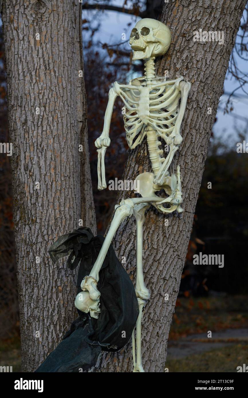 Decorazioni per giardini con scheletro di Halloween Foto Stock