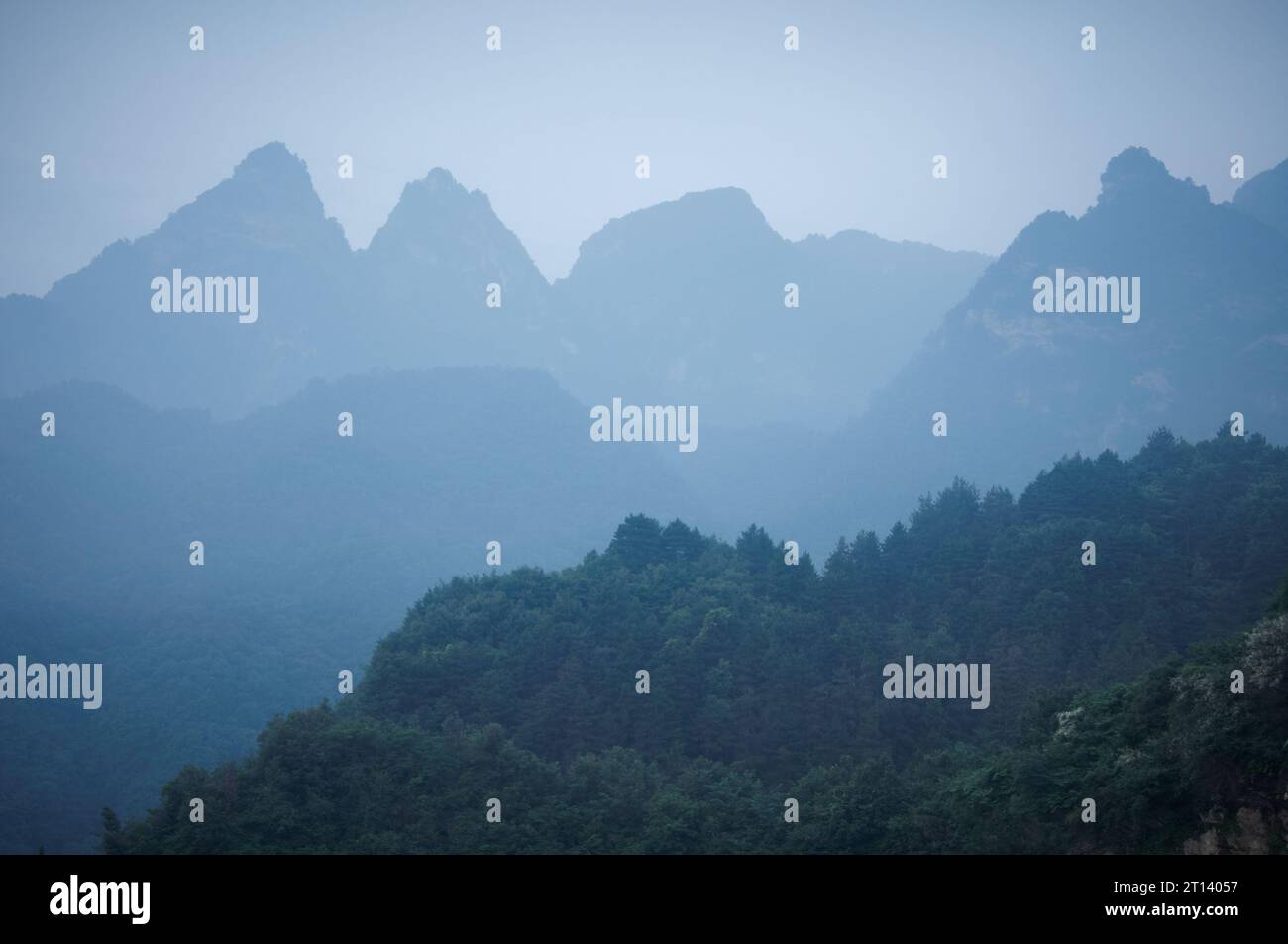 Alba alla nebbia montagna Wudang nella provincia di Hubei, Cina Foto Stock