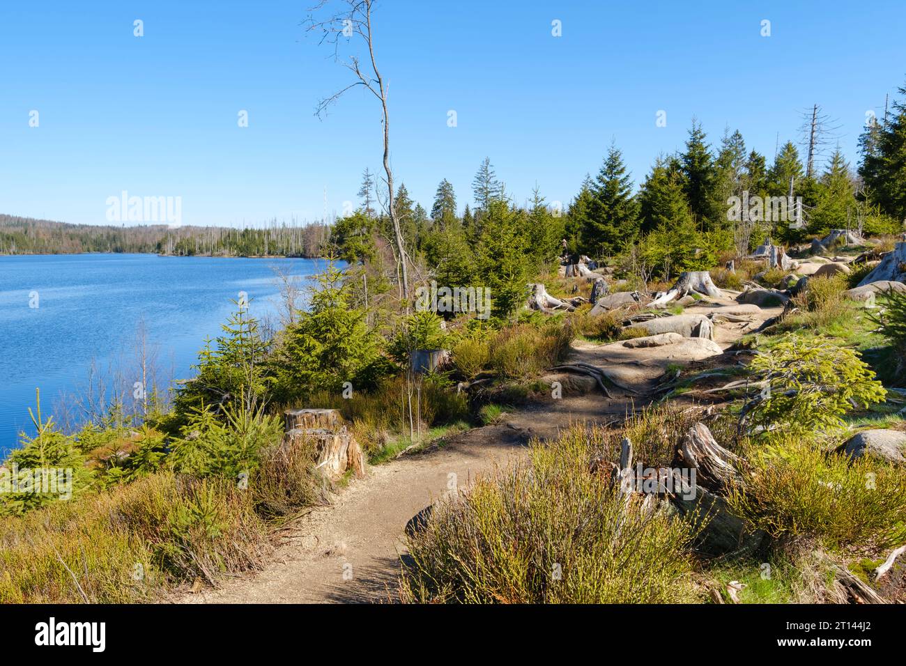 Paesaggio al lago Oderteich Foto Stock
