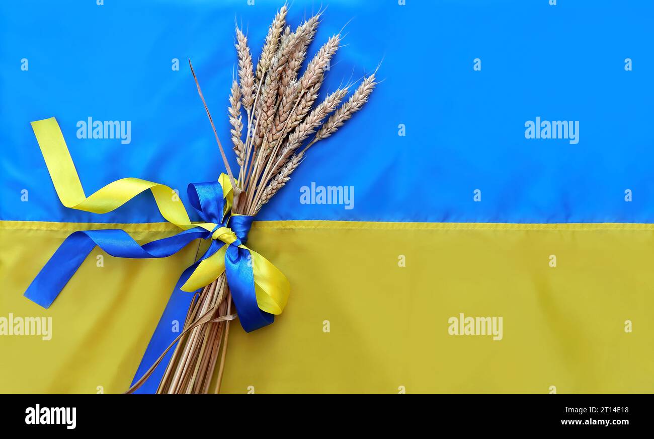 Un bouquet di spikelets dorati e maturi di grano legati con un nastro giallo e blu sullo sfondo della bandiera Ucraina. L'iscrizione in ucraino Foto Stock