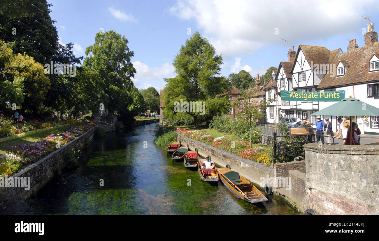 Punt a noleggio in un ambiente pittoresco, il fiume Great Stour, Canterbury, Kent Foto Stock