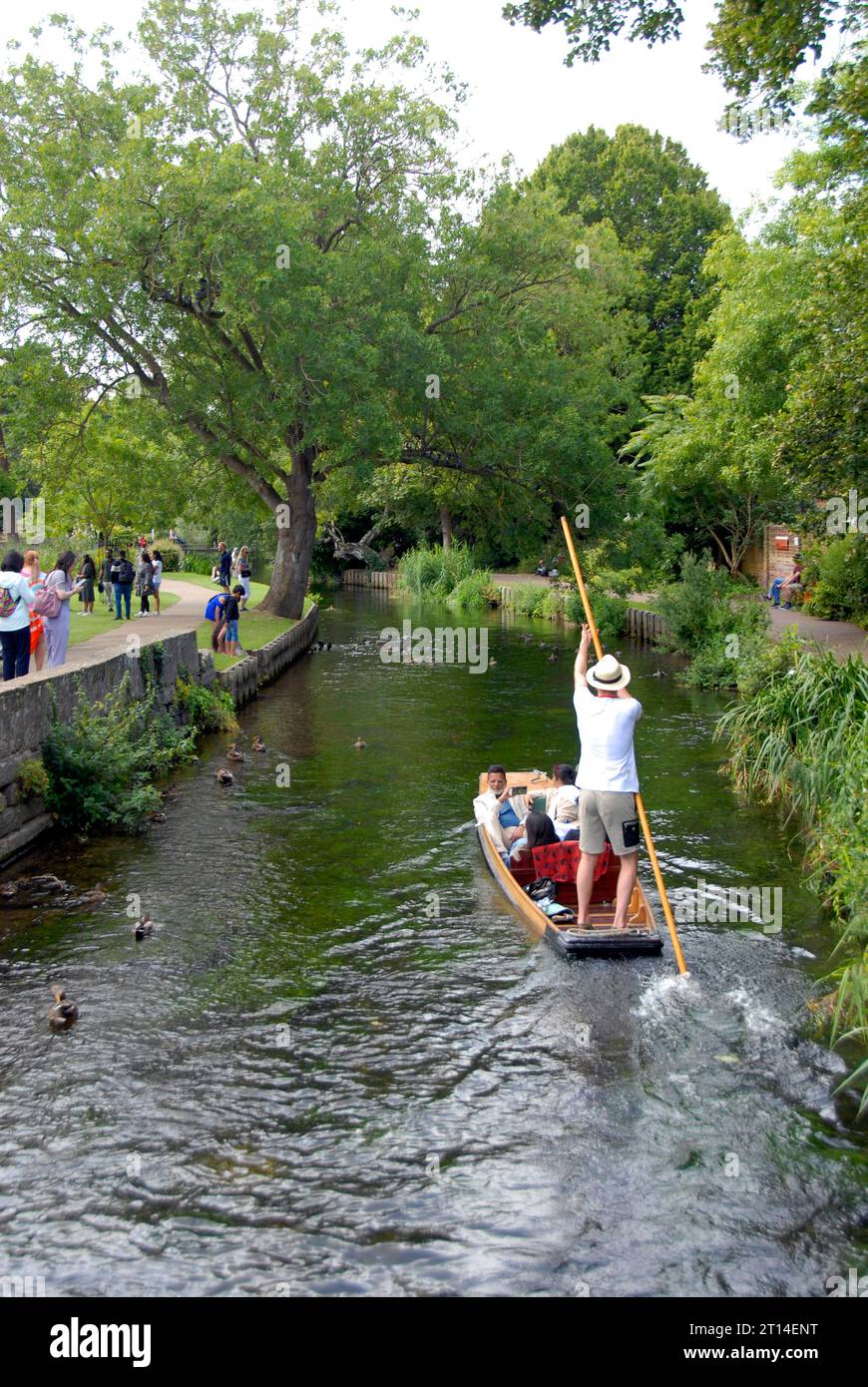 Persone che viaggiano in un punt sul fiume Great Stour, Canterbury, Kent Foto Stock