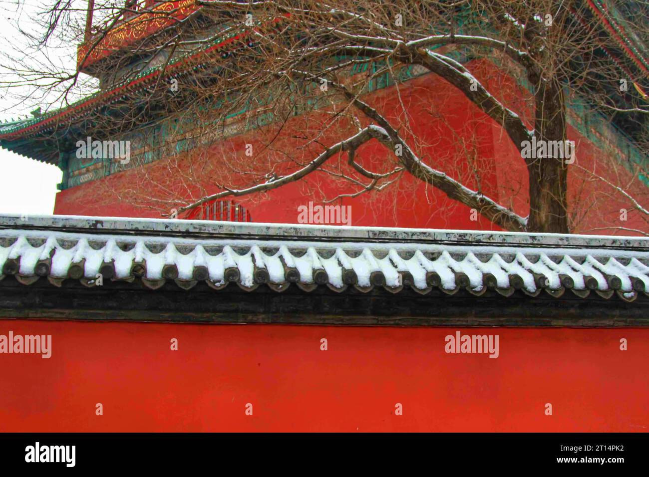 Esplora l'incantevole spettacolo di case tradizionali dalle tonalità diverse, annidate in un paese delle meraviglie invernali sotto un incontaminato paesaggio innevato cinese Foto Stock