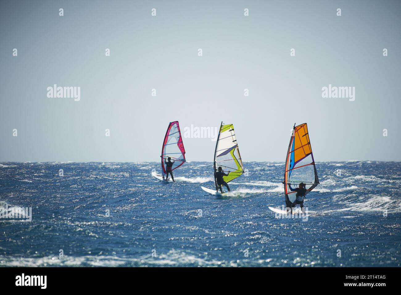 Tre vele da windsurf sul mare blu in una giornata ventosa Foto Stock