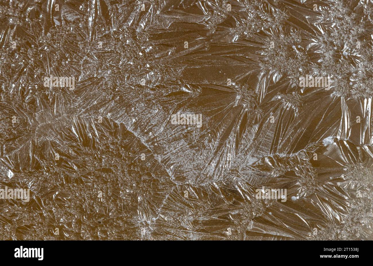 Un sottile strato di cristalli di sale che si formano sulla superficie di un laghetto di evaporazione presso la fabbrica di sale di Kalahari Foto Stock