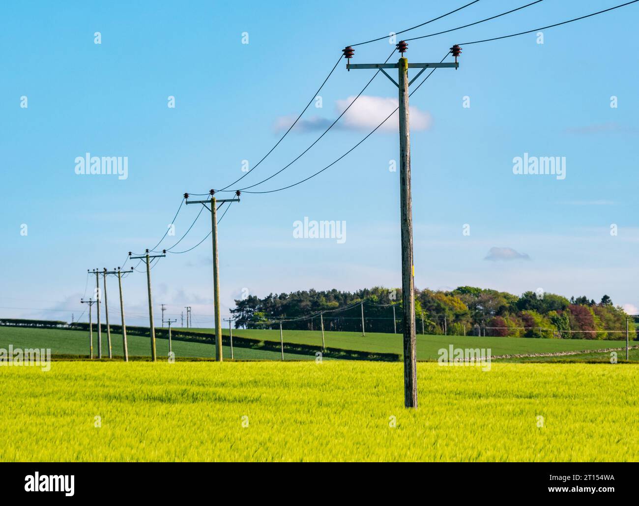 Vecchi pali telefonici o elettrici che attraversano un campo di coltivazione primaverile al sole, East Lothian, Scozia, Regno Unito Foto Stock