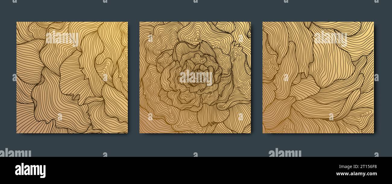 Set vettoriale di modelli floreali, carte di bellezza, sfondi. Striscioni quadrati, cornici, motivi dorati premuim. Rosa, illustrazione reale di lusso Illustrazione Vettoriale