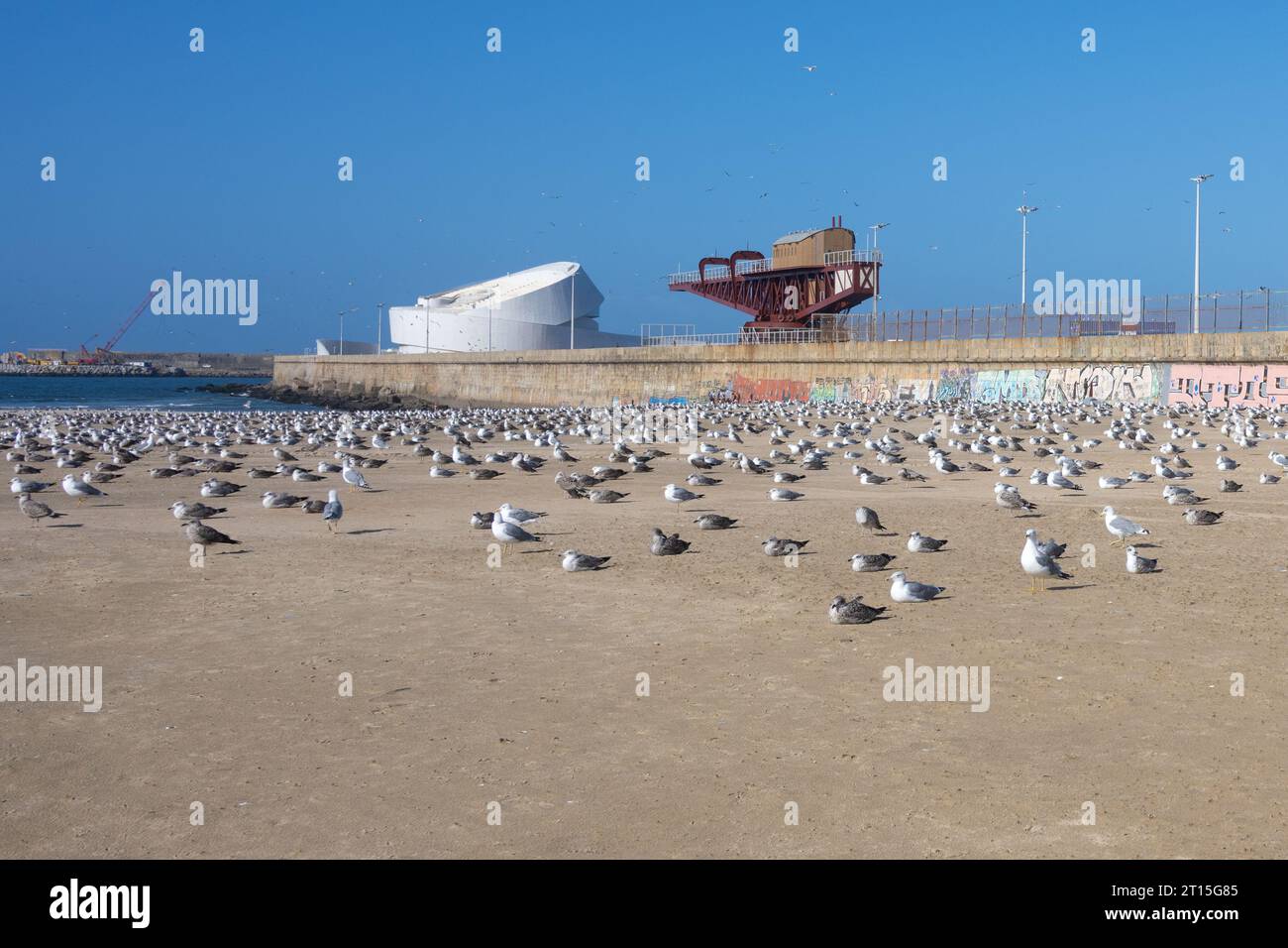 Matosinhos - gru a vapore Titan Matosinhos e terminal delle navi da crociera vicino alla spiaggia, al porto di Leixoes, a Matosinhos, Portogallo Foto Stock