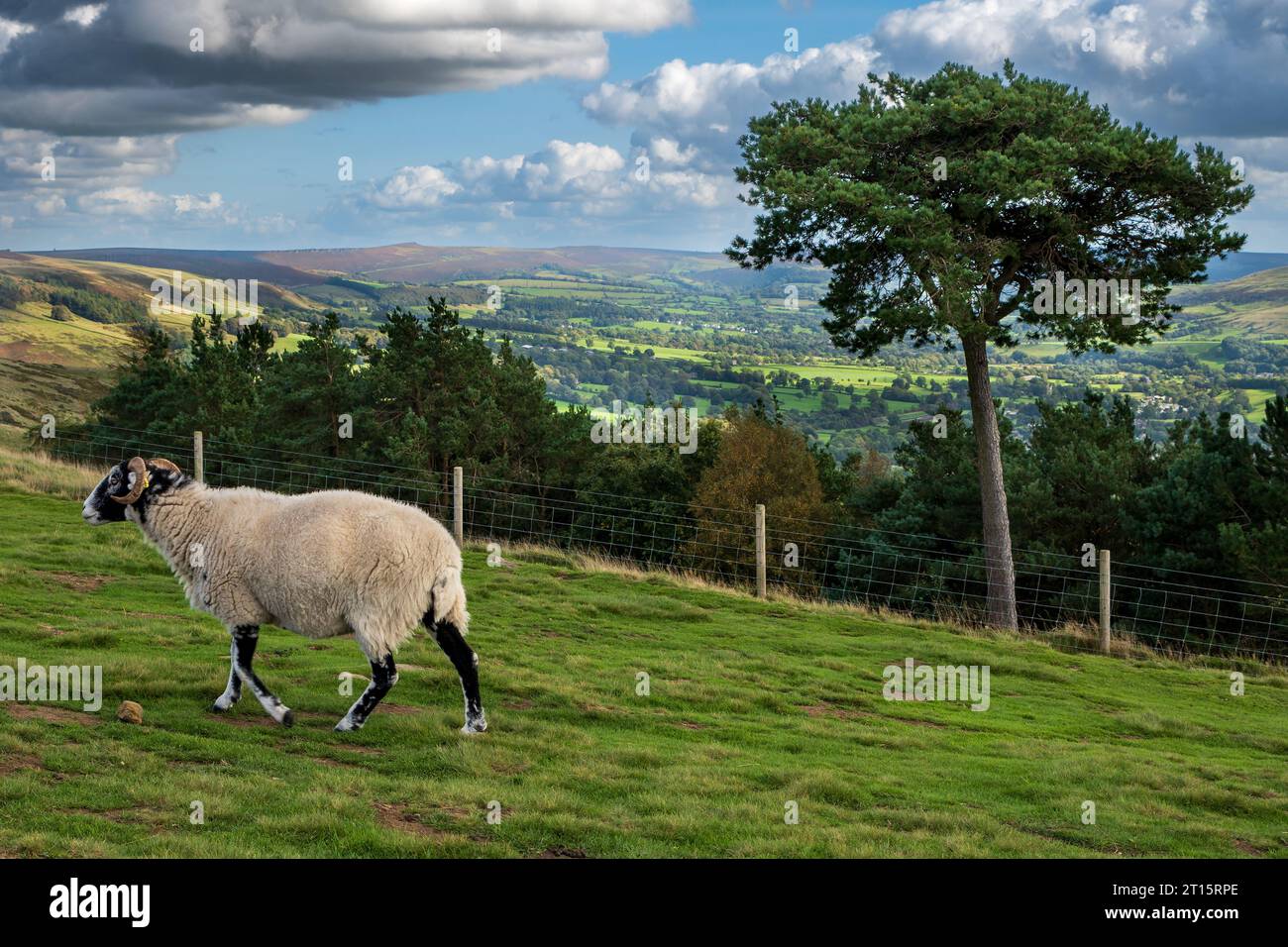 La valle di Hope nel distretto di Peak nel Derbyshire. Foto Stock
