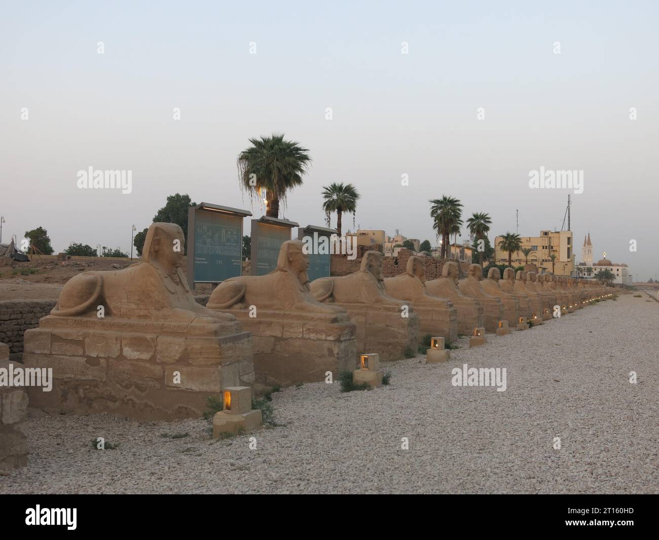 Il viale delle Sfingi collegava i 1,7 km tra i templi di Luxor e Karnak, riscoperto nel 1949 dopo essere stato sepolto sotto la sabbia per secoli. Foto Stock