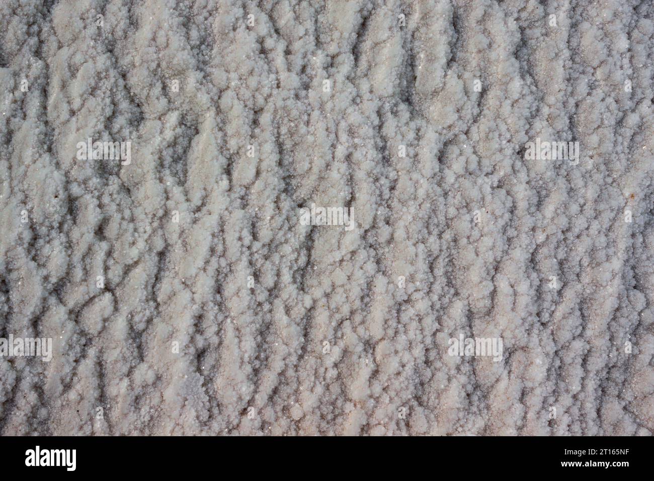 Sfondo di consistenza salina. Superficie bianca di un lago salino in Iran. Consistenza secca del lago di acqua salata. Foto Stock