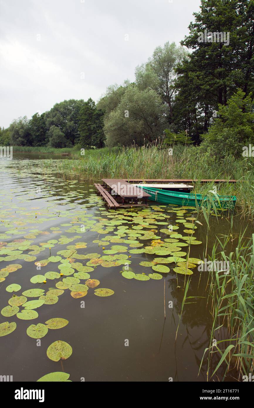 Barche al molo del lago Foto Stock