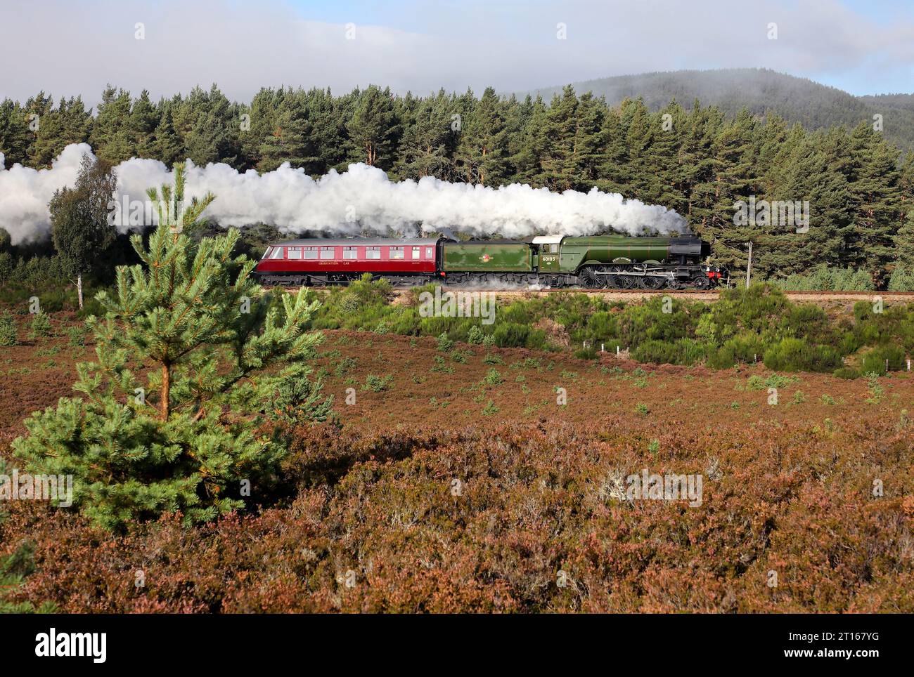 60103 si dirige verso Boat of Garten il 17.9,23. Il locale era lì in mostra per le escursioni ai piedi. Foto Stock