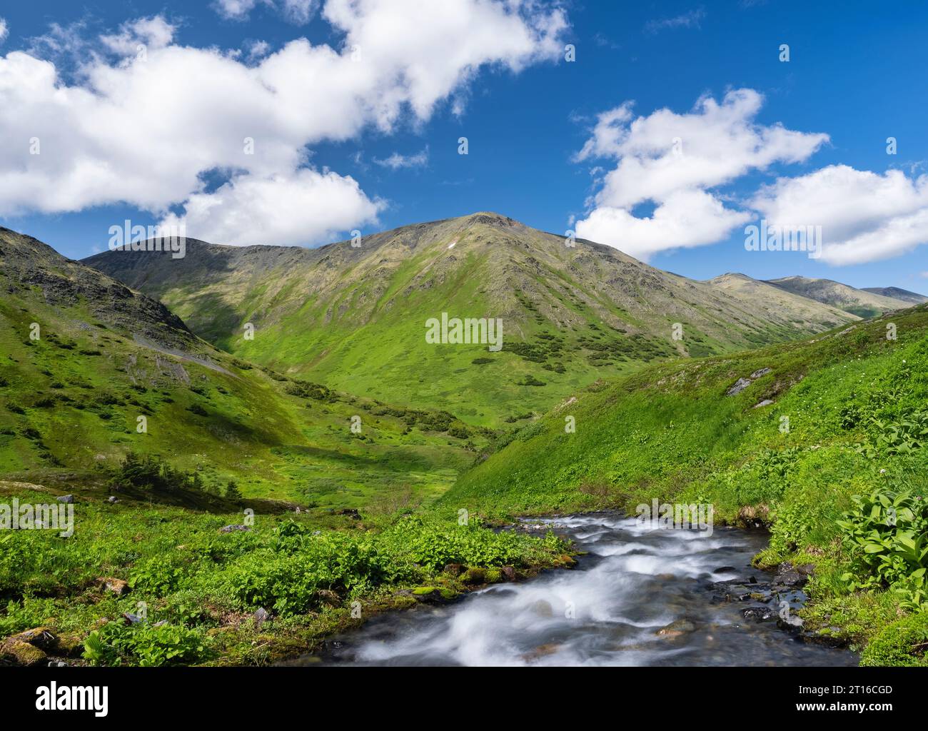 Lunga esposizione di ruscelli alpini nella Palmer Creek Valley nell'Alaska centro-meridionale. Foto Stock