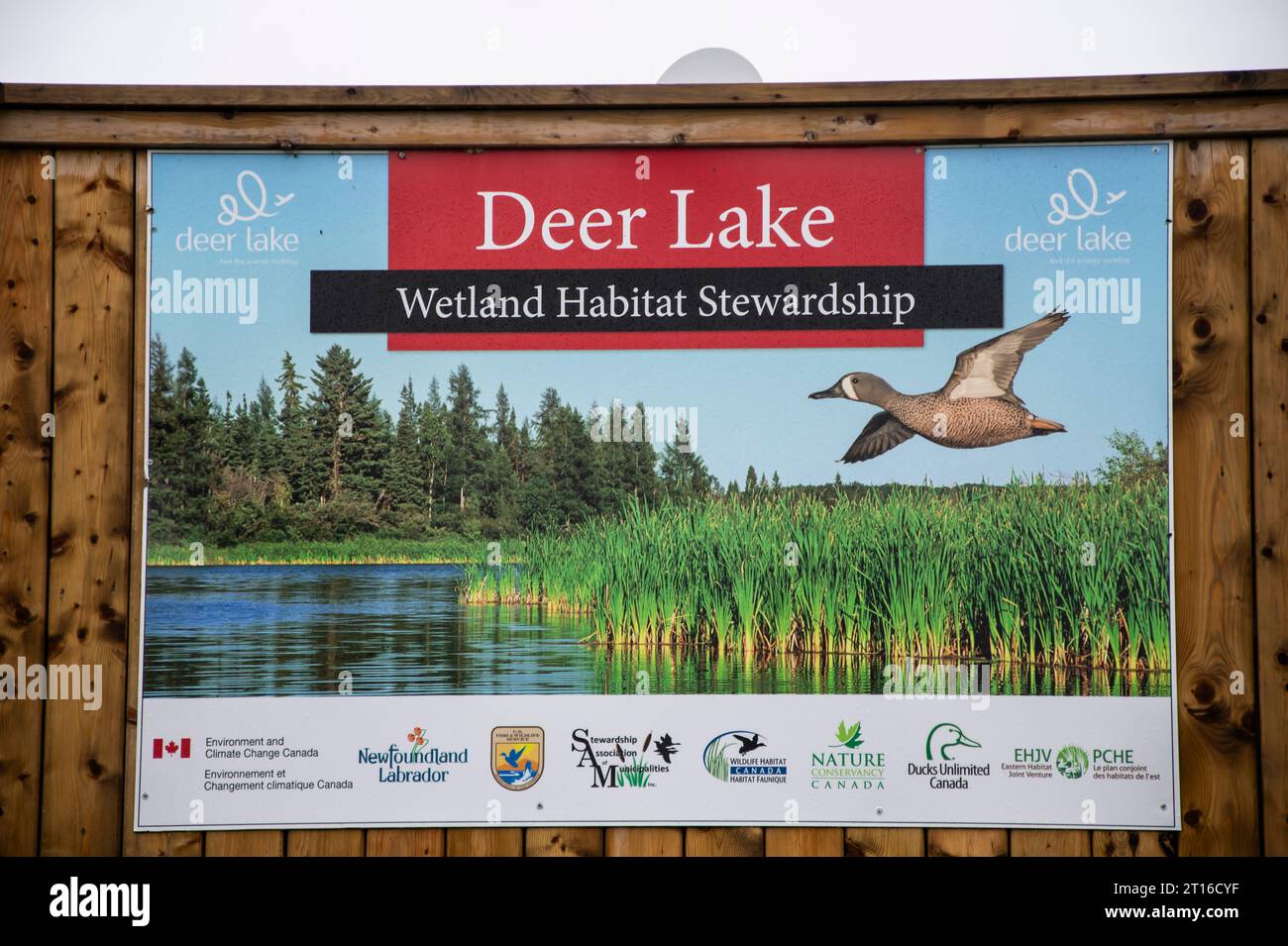 Cartello di gestione dell'habitat delle zone umide del lago Deer a Newfoundland & Labrador, Canada Foto Stock