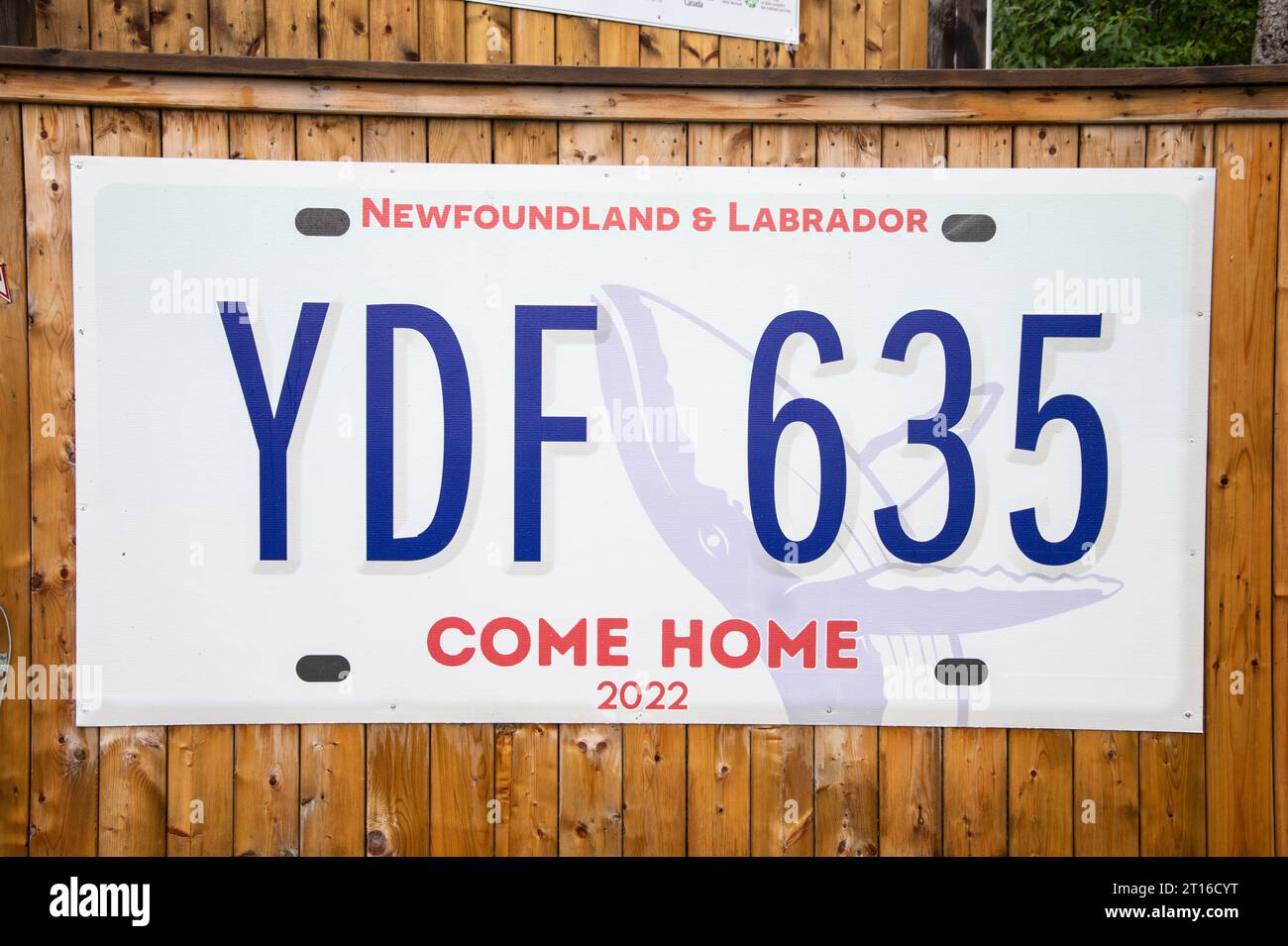 Segnale YDF 635 in un parco vicino al fiume Humber a Deer Lake, Newfoundland & Labrador, Canada Foto Stock