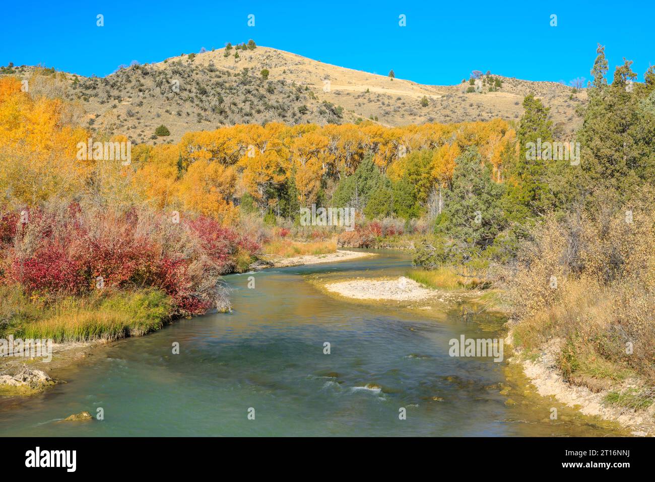 I colori dell'autunno lungo il fiume rubino vicino ontano, montana Foto Stock