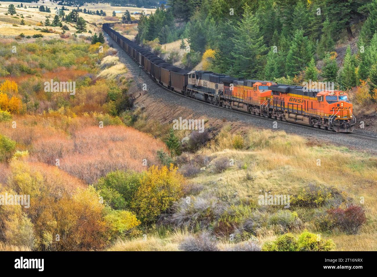 treno di carrozze a carbone che viaggiano lungo la valle di greenhorn creek in autunno vicino ad austin, montana Foto Stock