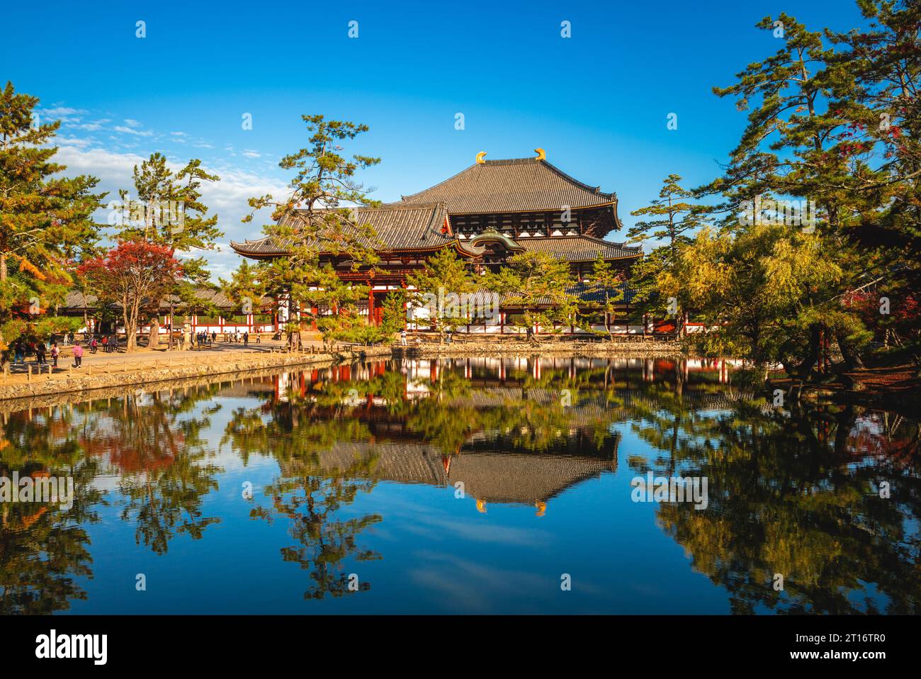 Porta principale e Sala del Grande Buddha di todaiji a nara, kansai, giappone Foto Stock