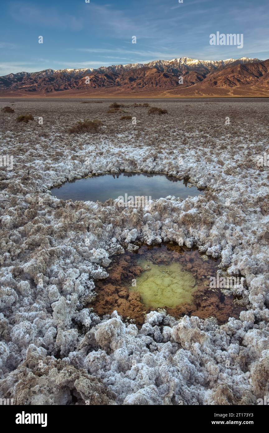 Bacino Badwater, Parco Nazionale della Valle della Morte Foto Stock