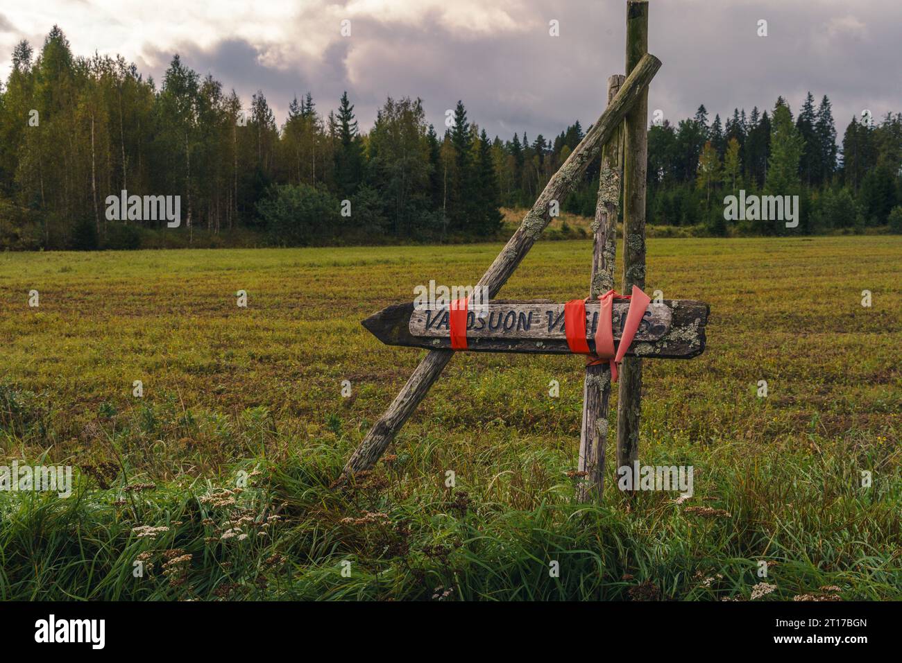 Segno di legno del sentiero escursionistico Vajosuon vaellus con nastro rosso accanto a un campo nel Parco Nazionale di Kurjenrahka, Finlandia. Foto Stock