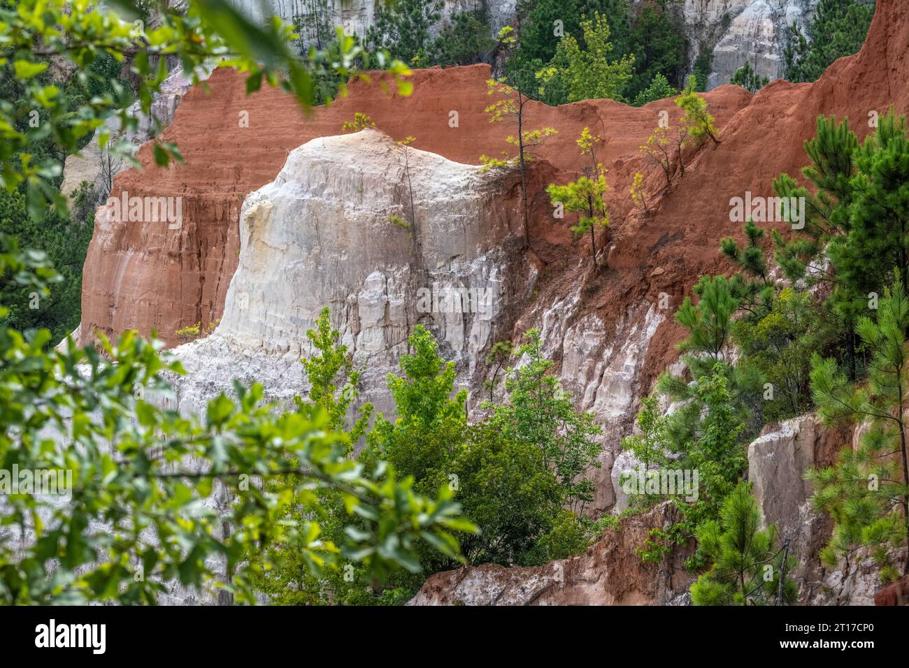 Pinne colorate e formazioni rocciose al Providence Canyon State Park (noto anche come Little Grand Canyon), a Lumpkin, Georgia. (USA) Foto Stock
