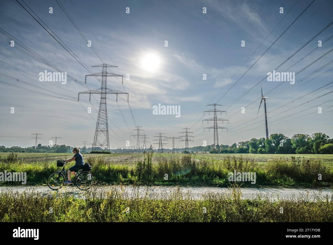 Sonne, Stromleitungen, Hochspannungsleitungen, Masten, Wartenberg, Lichtenberg, Berlino, Deutschland Foto Stock