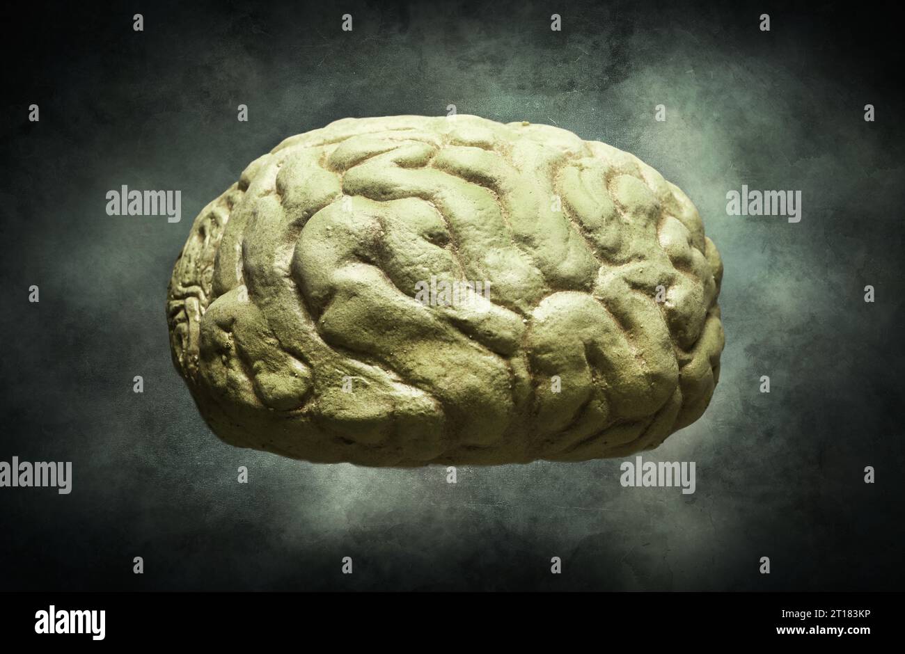 FOTOMONTAGE, Menschliches Gehirn Foto Stock