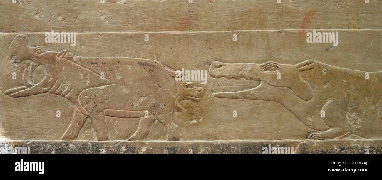 Sollievo, Krokodil beisst gebärendes Nilpferd, sollievo in den Grabbauten des Idut, Unas-Ank und Inefert, Nekropole von Sakkara, Ägypten Foto Stock