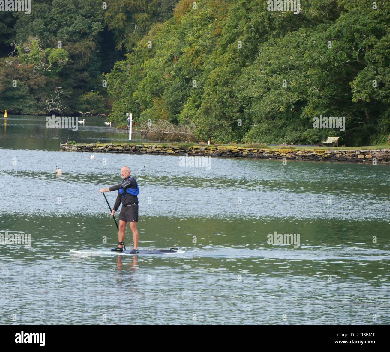 Man paddle boarding oltre la stazione ferroviaria di Looe Foto Stock