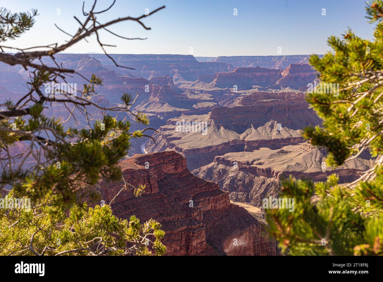 Il Grand Canyon è una vista affascinante al tramonto, dove il cielo vivace e colorato incontra un primo piano sfocato ma incantevole pieno di lussureggianti e variegati Foto Stock