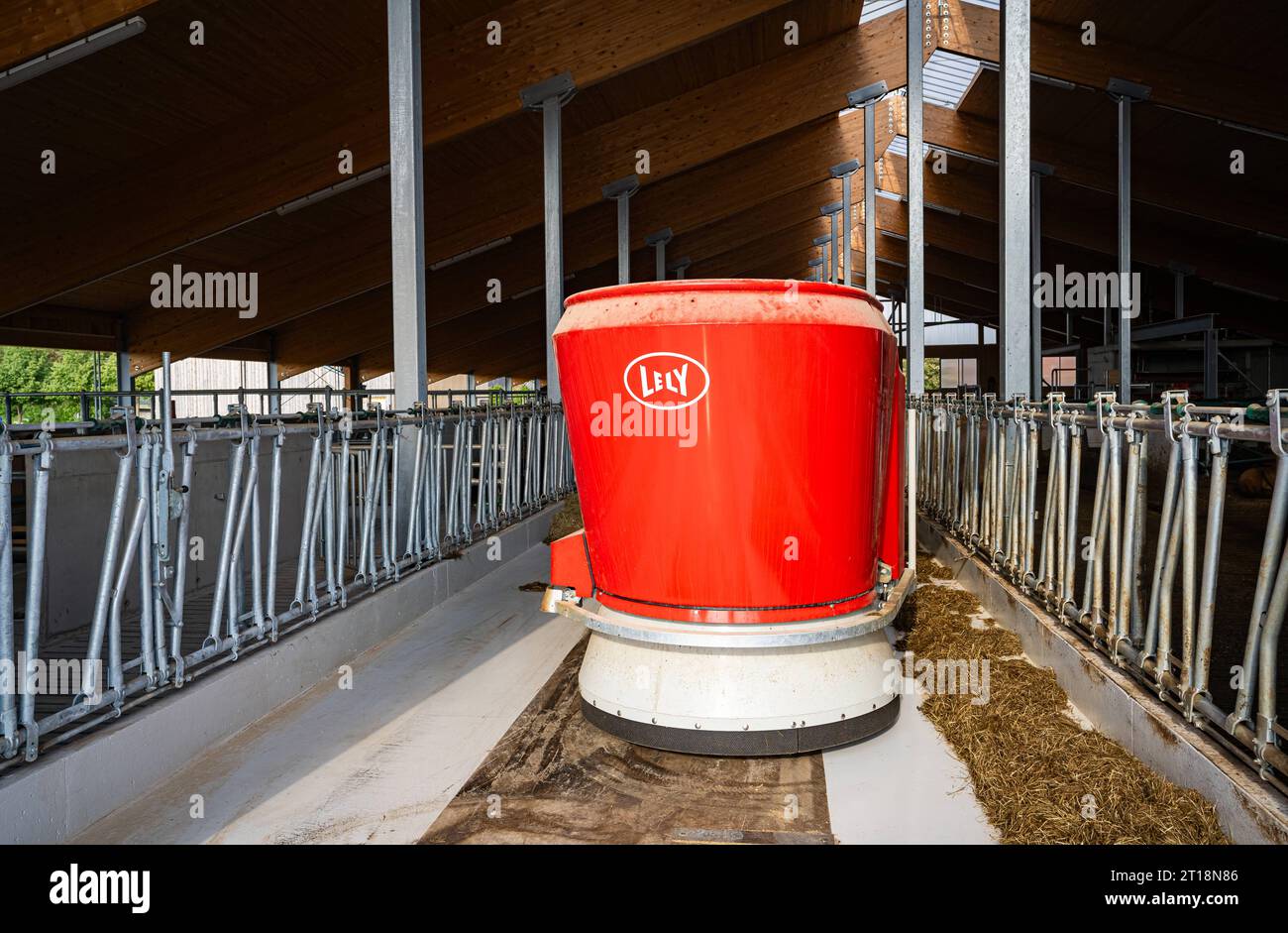 Rindviehfütterung - Lely Vector Fütterungsroboter zieht seine Bahn im modernen Kuhstall. Moderne, tierfreundliche und artgerechte Rindviehställe wie dieser Boxenlaufstall sind Hell und luftig und bieten den Tieren viel Bewegungsmöglichkeit. Grundfutter wie Silage und Heu, welches mit einem Futterwagen oder durch einen Futterroboter auf dem Futtertisch bereit gestellt wird, kann fast rund um die Uhr durch ein Fressgitter vom Rindvieh erreicht werden. Süddeutschland Bayern Deutschland *** alimentazione del bestiame Lely Vector Feeding robot tira il suo corso nel moderno fienile di mucca moderno, adatto agli animali e. Foto Stock