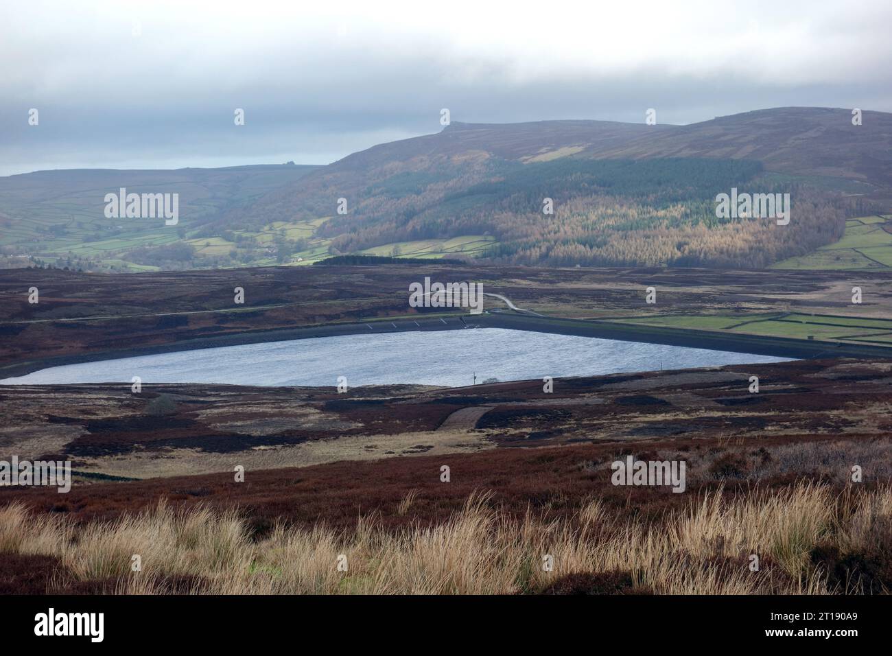 Lower Barden Reservoir and Simon's Seat on Barden Fell da Hutchen Gill Head vicino a Embsay, Airedale, Yorkshire Dales National Park, Inghilterra, Regno Unito Foto Stock