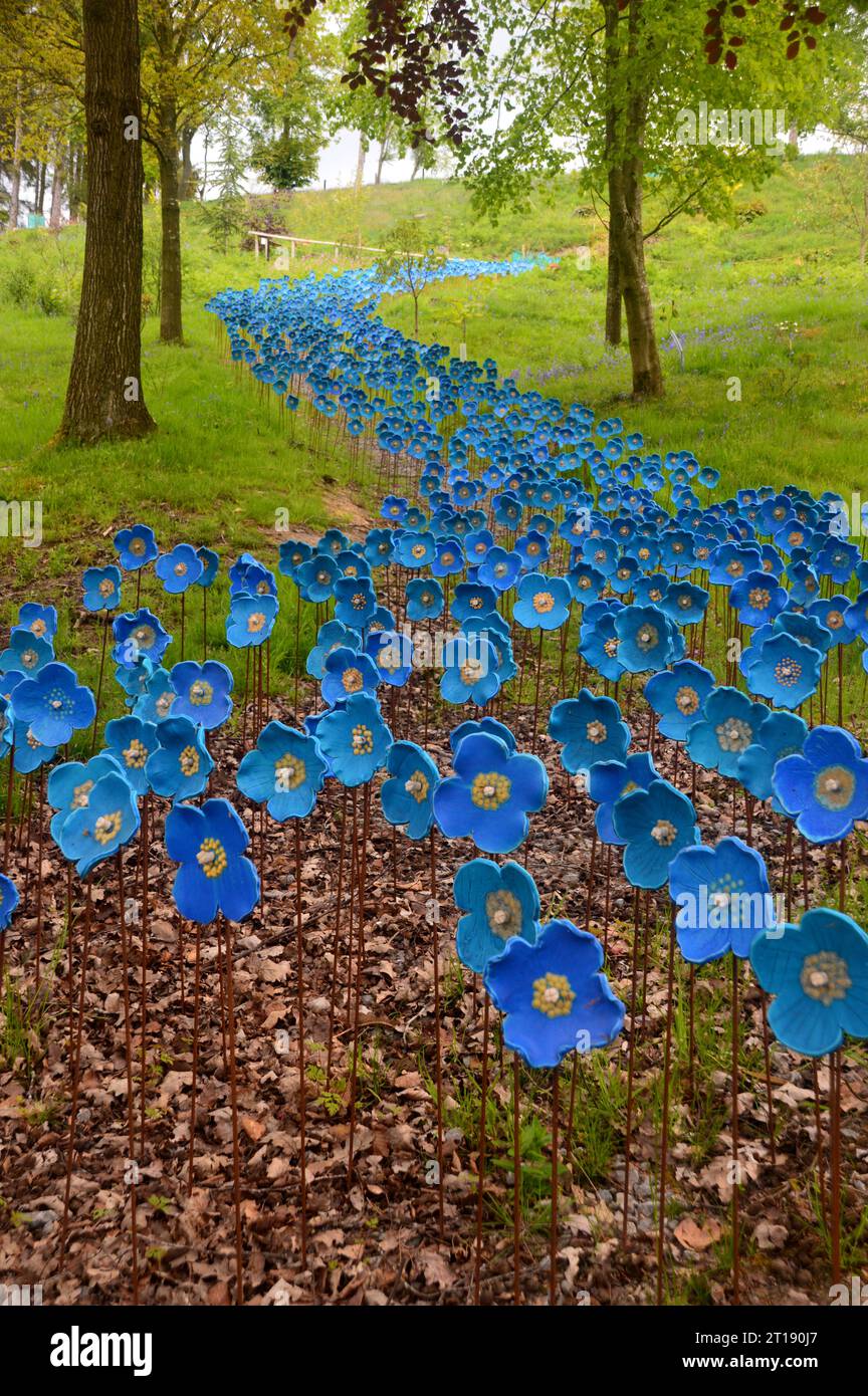 Sculture in ceramica dipinte a mano dei papaveri blu dell'Himalaya dell'artista Anna Whitehouse in mostra nel giardino e parco delle sculture dell'Himalaya. Inghilterra, Regno Unito. Foto Stock