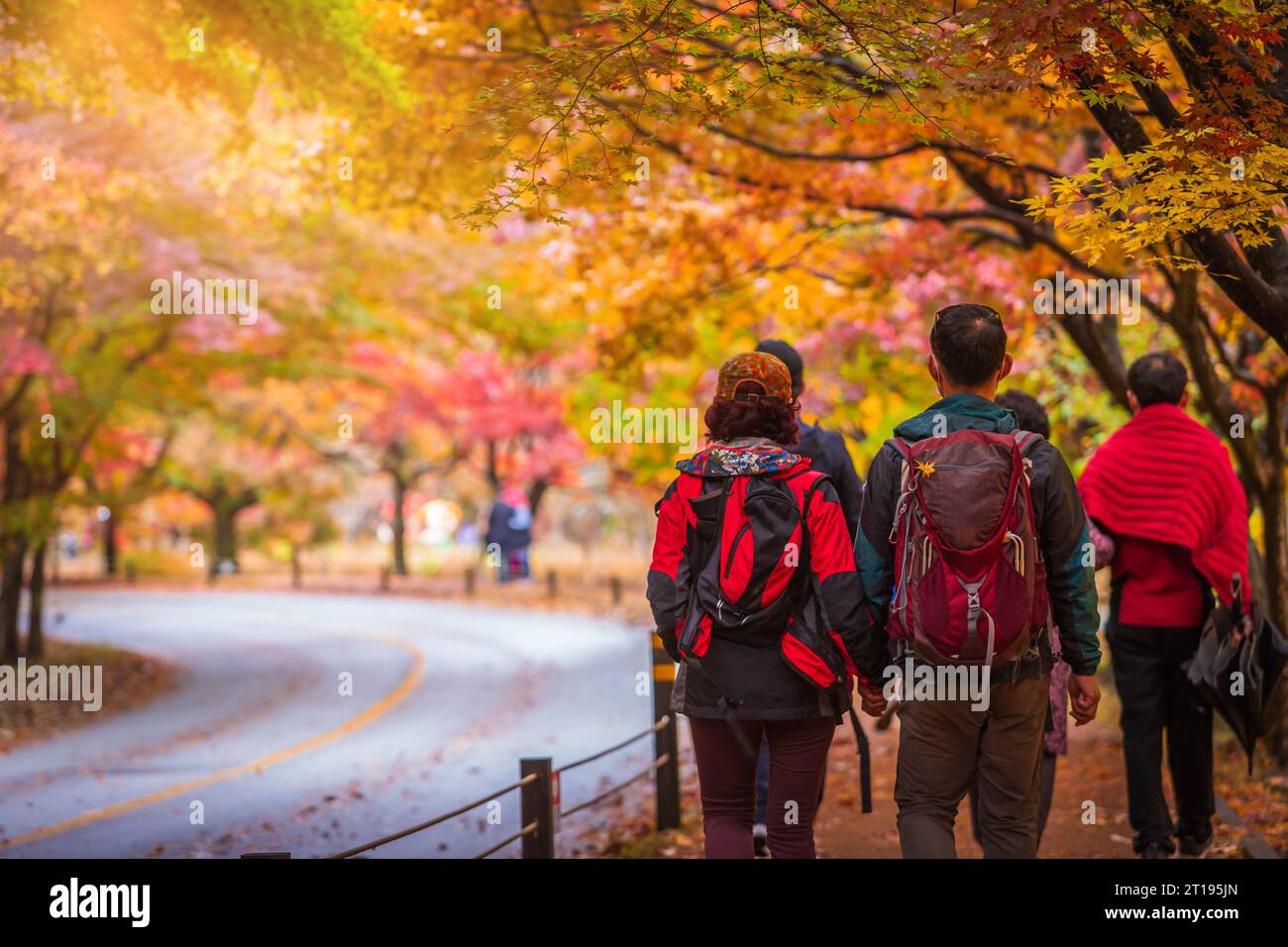Autunno colorato con splendida foglia d'acero al parco nazionale di Naejangsan, Corea del Sud. Foto Stock
