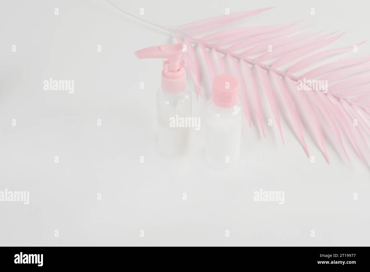 Bottiglia di vetro per cosmetici di bellezza. modello di branding, vista frontale su sfondo rosa pastello e bianco. Pacchetto per olio essenziale. Foto Stock