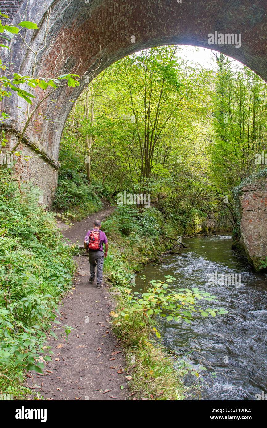 Uomo che cammina lungo le rive del fiume Derbyshire Wye mentre passa sotto il viadotto del sentiero Monsal nel Peak District, Inghilterra, Regno Unito Foto Stock